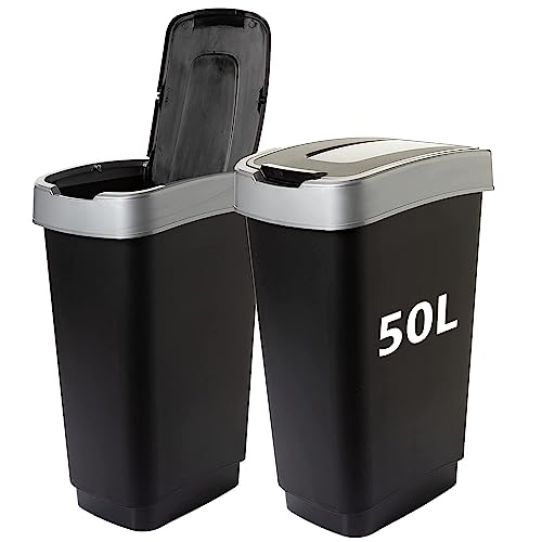 Lot de 2 poubelles 50L avec couvercle basculant 